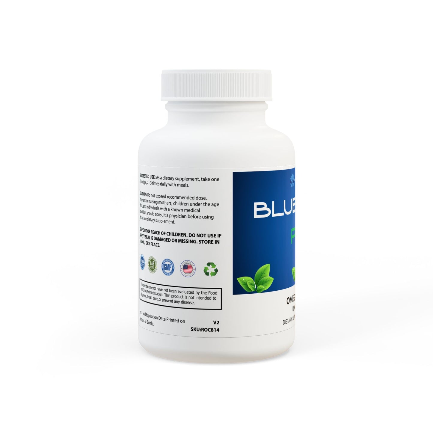 Omega 3 Fish Oil Supplement (60 Softgels)