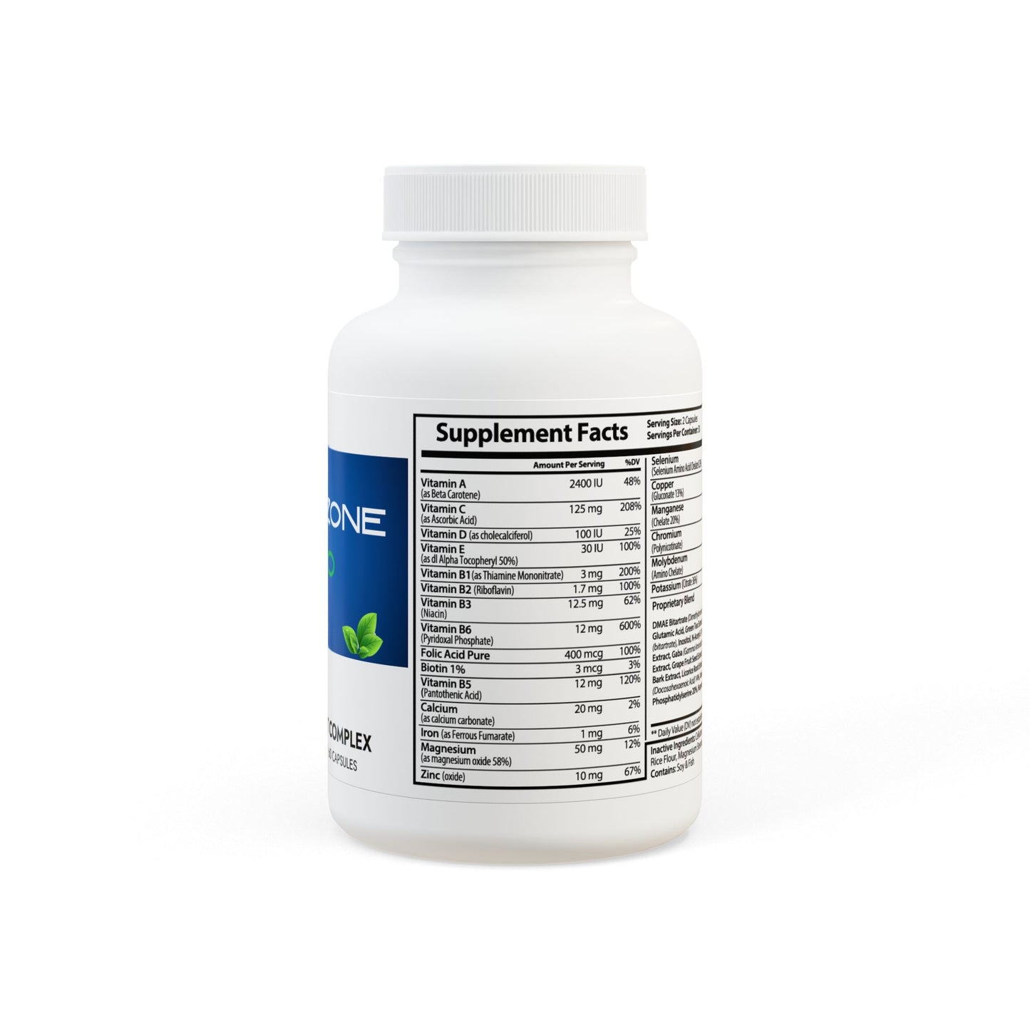 Brain Support Complex Supplement (60 Capsules)